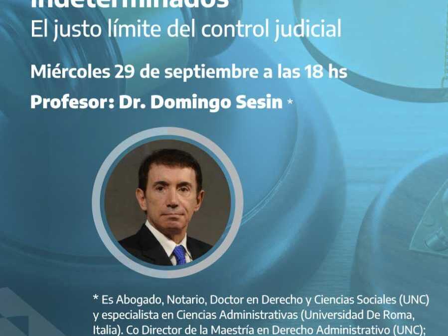 EL-JUSTO-LIMITE-DEL-CONTROL-JUDICIAL-DOMINGO-SESIN